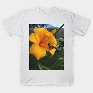 Simple Beauty T-Shirt